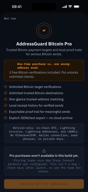 AddressGuard Pro paywall with lifetime option first